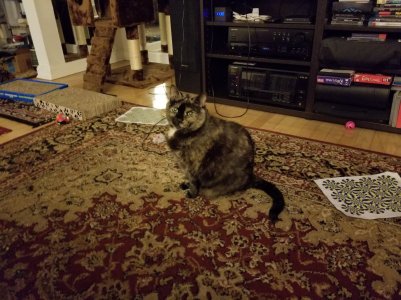 20170703_232940.jpg