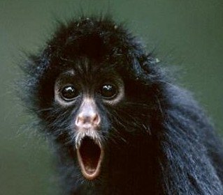 Omg-face-3-1.jpg