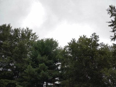 IMG_20170831_101421.jpg