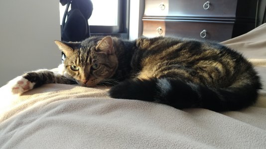 20170831_072649.jpg