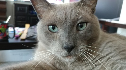 20170831_073633.jpg
