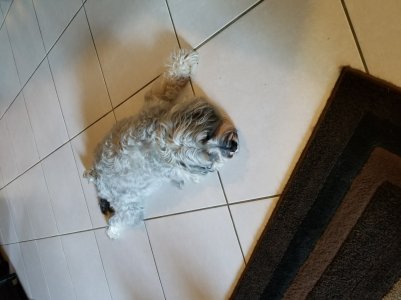 20170915_183426.jpg