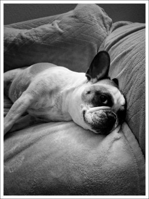 DSC_0002[1].jpg