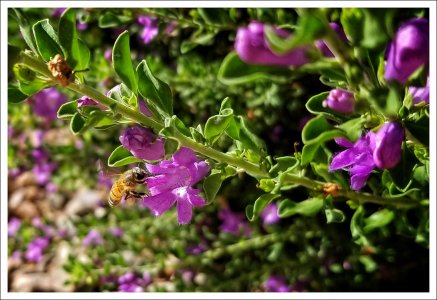 20170917_090516[1].jpg