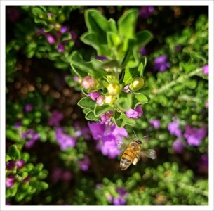 20170917_090533[1].jpg