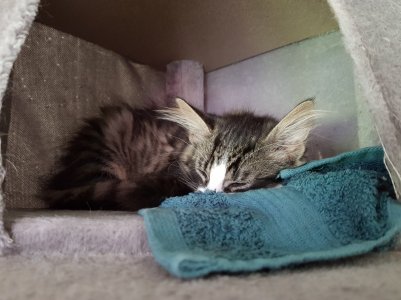 20170915_143511.jpg