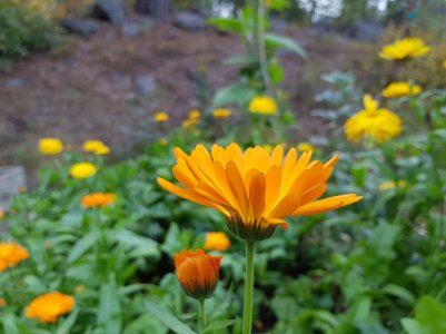 20170917_164533.jpg