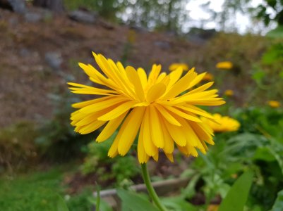 20170917_165533.jpg
