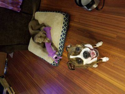 20170716_204448.jpg