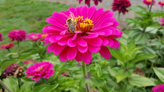 20170812_132502.jpg