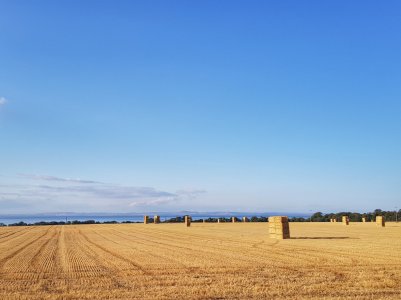 20170901_180447-01.jpg