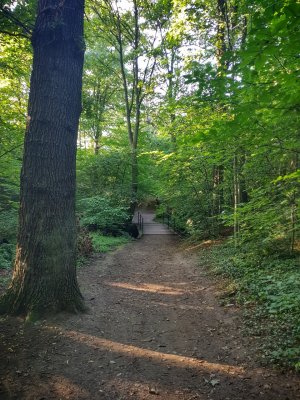 20170901_181942-01.jpg
