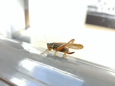 20170717_160619.jpg