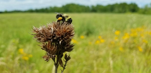 20170714_231231.jpg