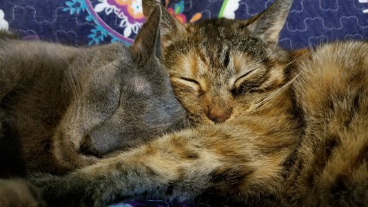 20170618_141834.jpg