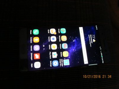 IMG_2917.jpg
