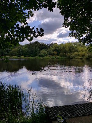IMG_20170901_164400.jpg