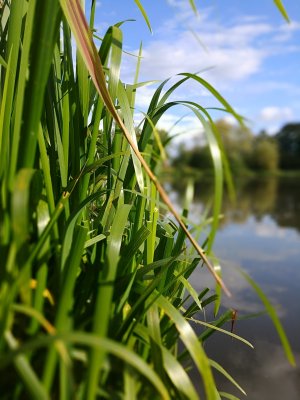 IMG_20170901_163837.jpg