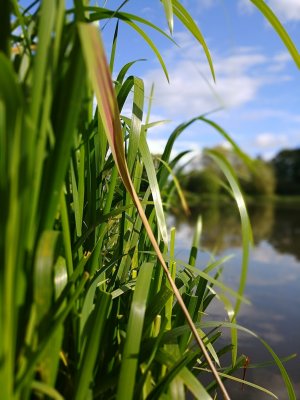 IMG_20170901_163843.jpg