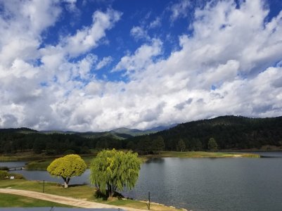20170925_093356.jpg