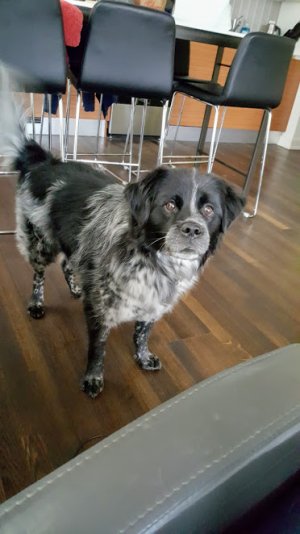 20170224_170458.jpg