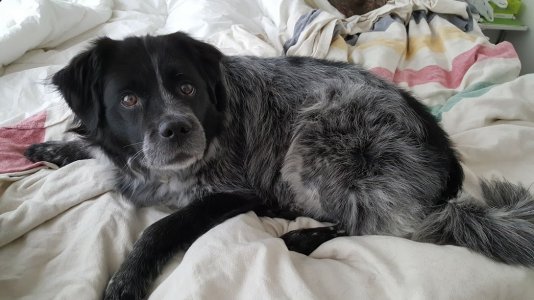 20170225_112135.jpg