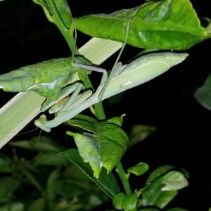 20170919_191523.jpg