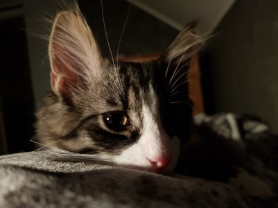 20170920_230807.jpg