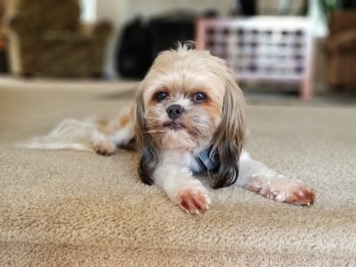 20170920_161342.jpg