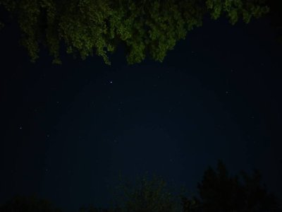 IMAG0453-01.jpg