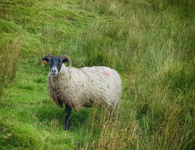 20170906_113350-01-01.jpg