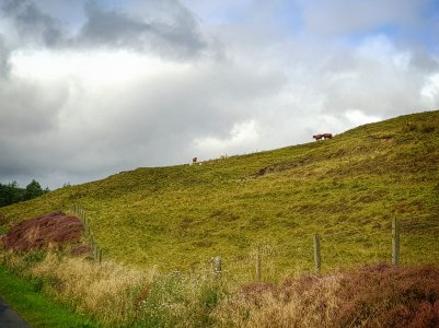 20170906_113051-01.jpg