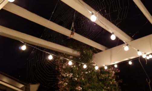 20170921_200215.jpg