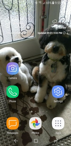 Screenshot_20170921-215518.jpg