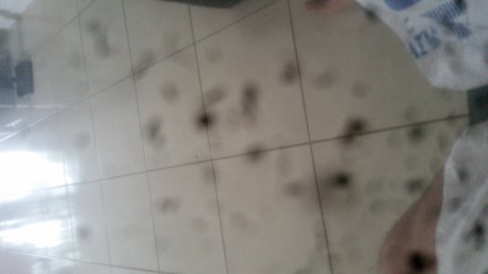 20171014_121654.jpg