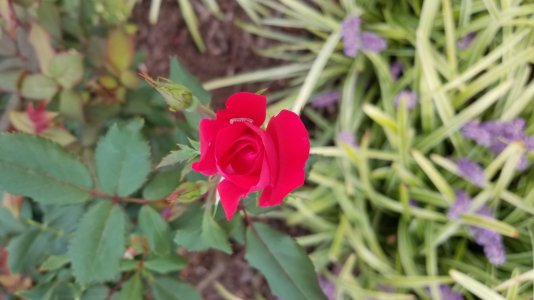 20170920_075129.jpg