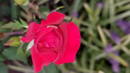 20170920_075150.jpg