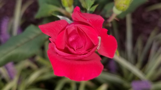 20170920_075215.jpg