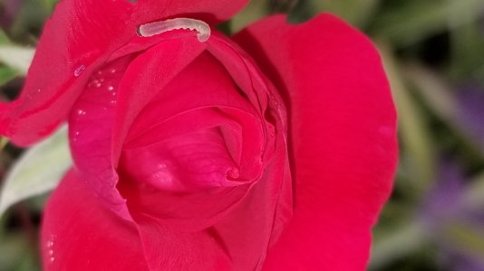 20170920_080021.jpg