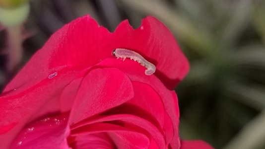 20170920_080048.jpg