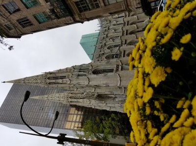 20171014_131440.jpg
