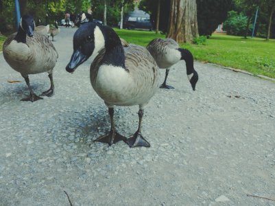 20170922_162535.jpg