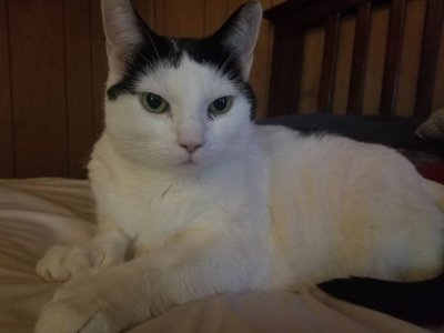 20170923_085433.jpg