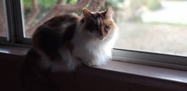 20170923_075104.jpg