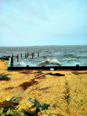 IMG_20130306_112358.jpg