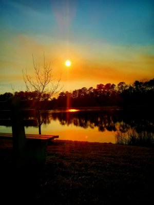 IMG_20130305_195203.jpg
