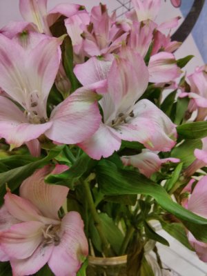 IMG_20130208_082616.jpg