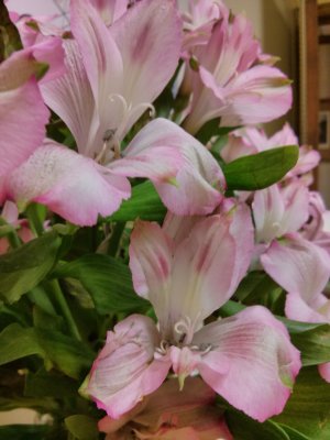 IMG_20130208_082523.jpg