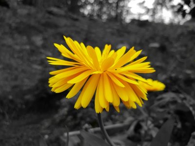 20170921_005209.jpg