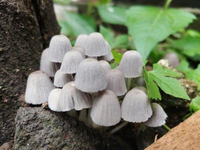 20171116_110931_Burst01.jpg